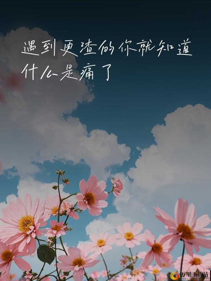 XXXXXLmedjyf7777777 遭遇痛骂：原因何在