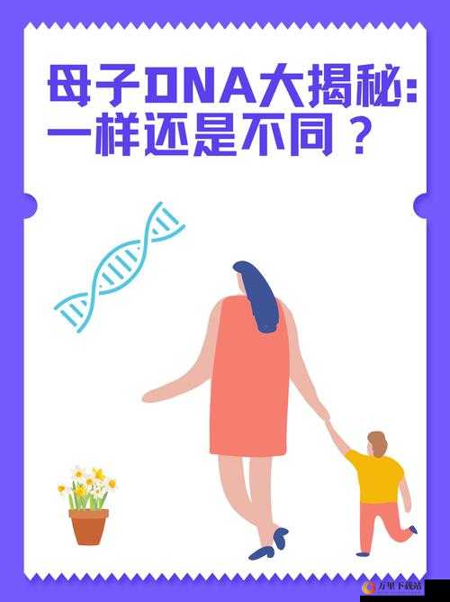 母亲和儿子 DNA 一样吗：解析两者关系