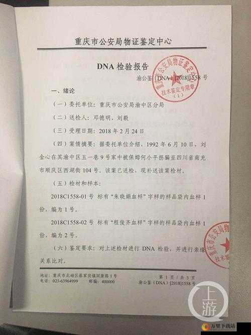 DNA 分析报告：探索 17c14.cv 的奥秘