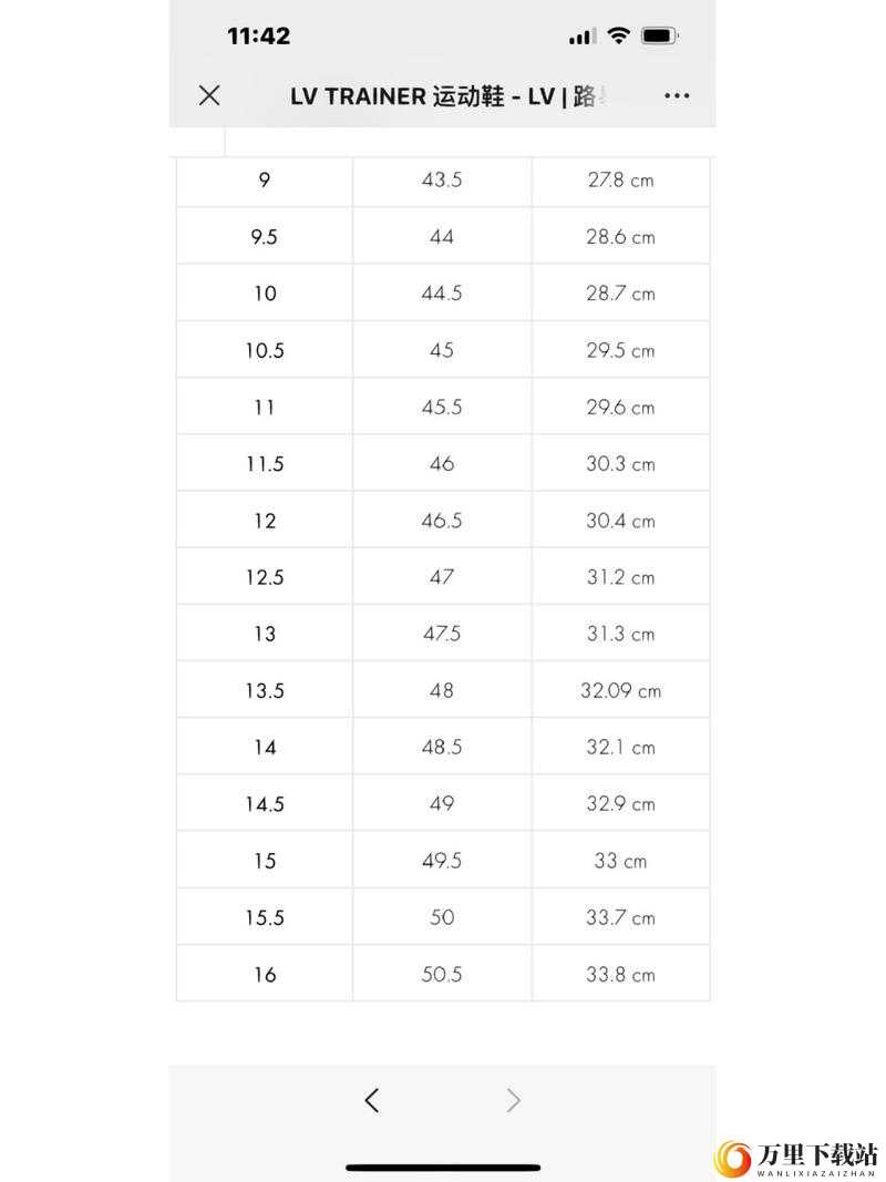 欧洲 LV 尺码大重新上架：引发时尚新热潮